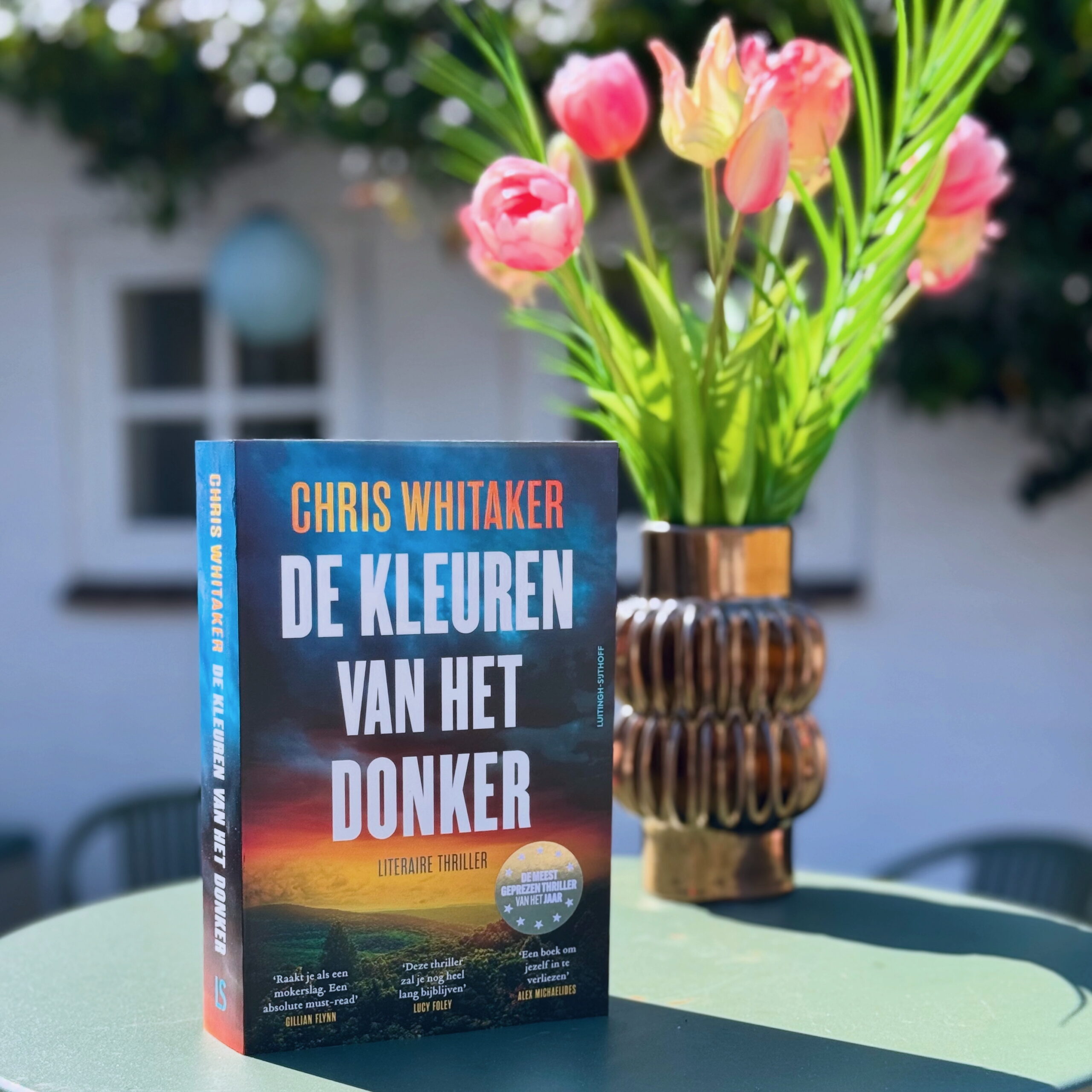 De kleuren van het donker - Chris Whitaker - Nathie leest
